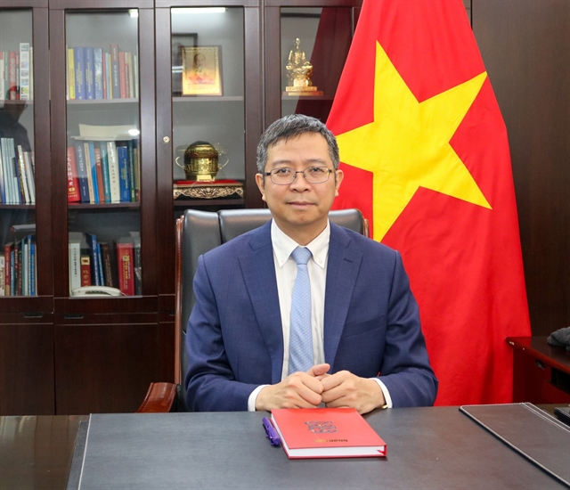 和专业支持