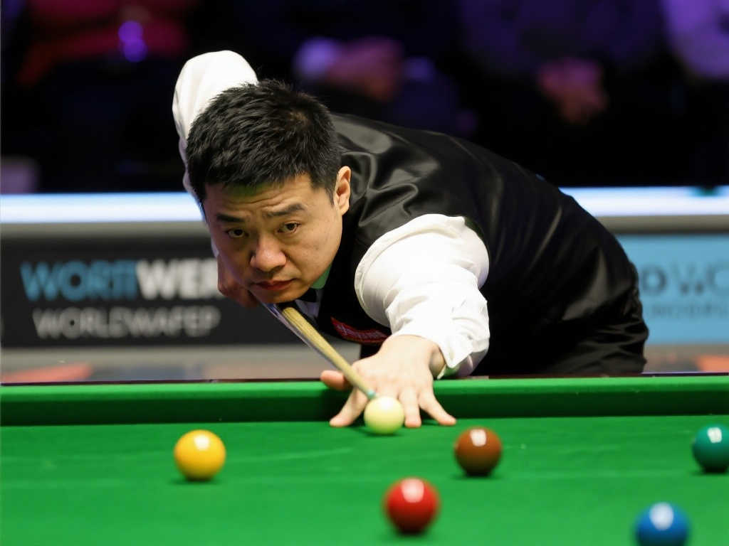 不少人都提 不少人都提